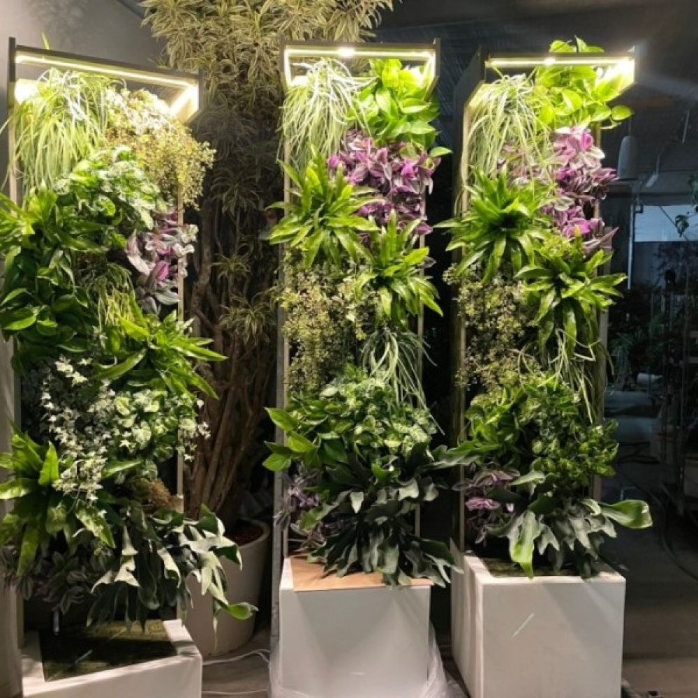Verde Vivo per Interni ed Esterni